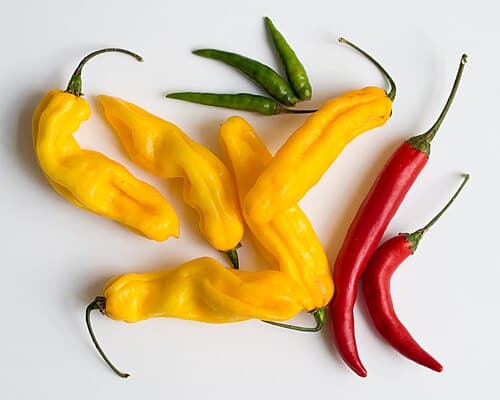 Green Chilli